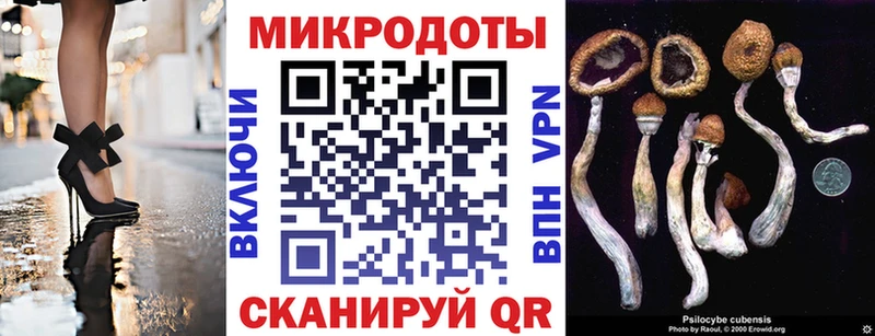 Псилоцибиновые грибы ЛСД  купить наркотики сайты  Шарыпово 