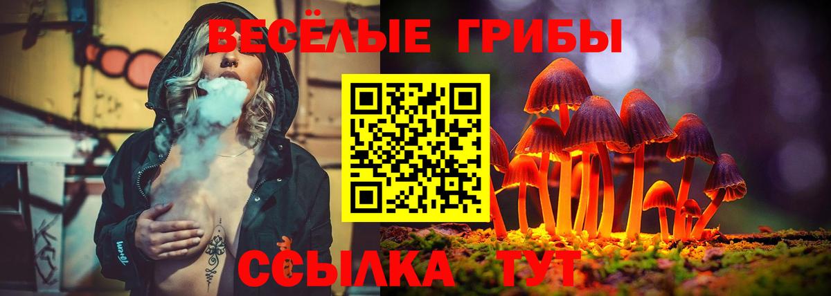 Псилоцибиновые грибы Psilocybine cubensis  цены   Вход с VPN  Шарыпово  Псилоцибиновые грибы GOLDEN TEACHER 